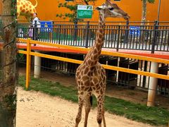 -西霞口神雕山野生动物世界