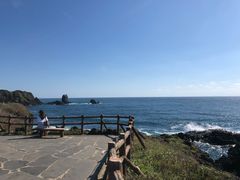 -涉地可支
