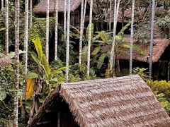 -海南槟榔谷黎苗文化旅游区