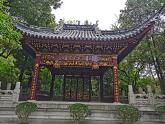 -汇龙潭