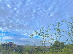 -若水农家乐