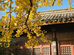 -宝界山林公园