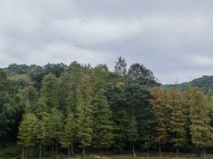 -广州市白云山风景名胜区