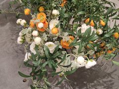 -KKV(深圳宏发大仟里店)