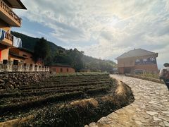 -杨家堂村