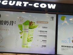 -一只酸奶牛(洪崖洞11楼店)