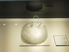 -BLACKSWAN黑天鹅(环球店)