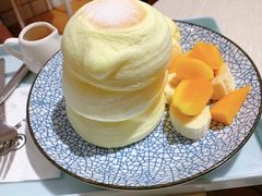 -王守财小山園