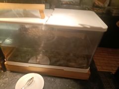 -西安皇冠假日酒店·朱雀咖啡厅