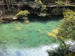 -石台牯牛降景区