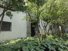 -上海醉白池公园