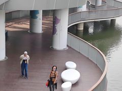 -银湖山郊野公园-相思林