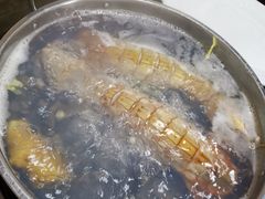 -凯华海鲜火锅·传承三十六年