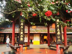 -峨眉山报国寺
