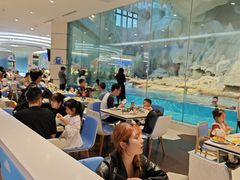 -帝企鹅自助餐厅•儿童岛•真企鹅(长隆企鹅酒店)