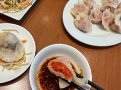 -鸿毛饺子(紫竹桥店)