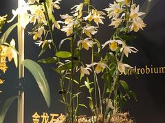 -国家植物园南园