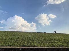 -水上人家河鲜