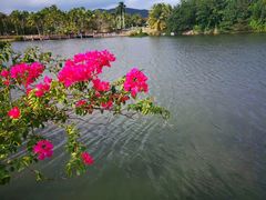 -三亚珠江南田温泉度假区