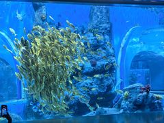 -太平洋海底世界