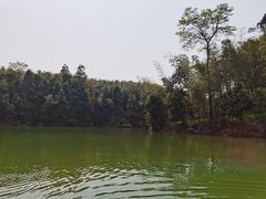 -蜀南竹海景区