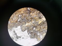 -佳怡动物医院·平价24小时·猫专科骨外科