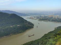 -铁山坪森林公园