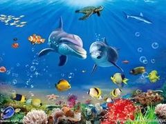 -暹罗海洋世界