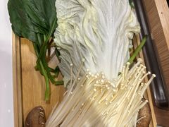 -蝎王府羊蝎子(西直门店)