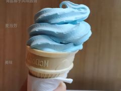 海盐椰子风味圆筒-麦当劳(科教城店)