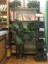 -章光101养发生发防脱发