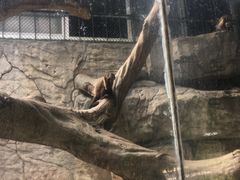 -泉州海丝野生动物世界