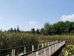-同里国家湿地公园