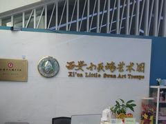 -西安小天鹅艺术团(曲江Alice店)