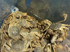 -曼格活海鲜·牛排自助(光明蓝鲸店)