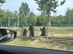-秦皇岛野生动物园