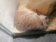 -平行世界·猫咖(首经贸店)