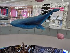 -凯德广场(学府店)