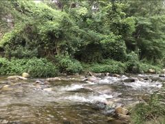 -秦岭风景区