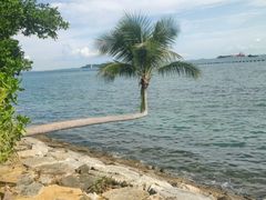 -巴拉湾海滩