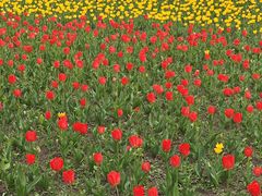 -长春公园(普阳街道)