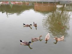 -西安汉城湖景区