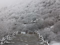 -黄龙山原始森林景区