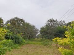 -西青郊野公园