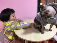 -李小姐の猫咖啡馆(五角场店)