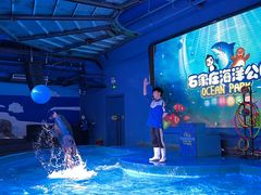-石家庄海洋公园