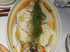 鸡汁大白鱼-玉玲珑(陆家嘴店)