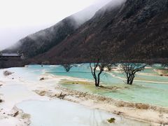 -黄龙山原始森林景区