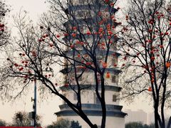 -开元寺塔