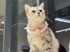 -怪兽屋·羊驼·猫咖·狗咖(俊华广场店)